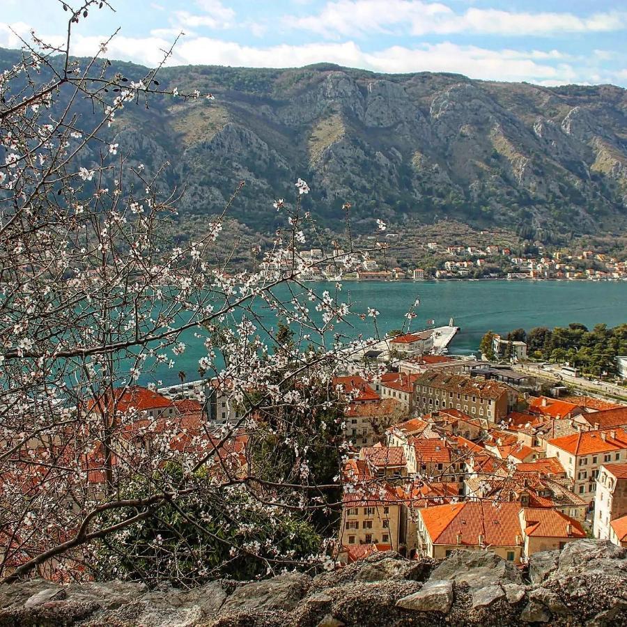 Old Town Boskovic Apartment โกตอร์ ภายนอก รูปภาพ